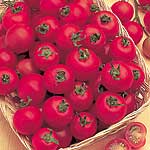 Unbranded Tomato Cherry Belle F1 Seeds
