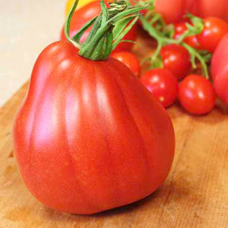 Unbranded Tomato Corazon F1 Seeds 6 Seeds