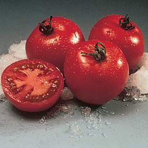 Tomato Cristal F1 Seeds