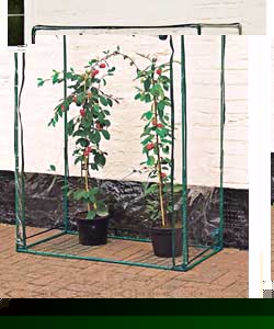 Unbranded Tomato Growbag Greenhouse