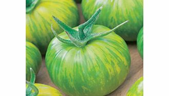 Unbranded Tomato Plants - Green Zebra