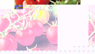 Unbranded Tomato Plants - Principe Borghese