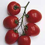 Unbranded Tomato Romana F1 Seeds 439156.htm