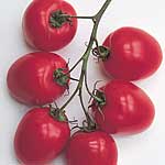 Unbranded Tomato Romana F1 Seeds