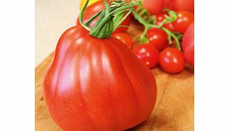 Unbranded Tomato Seeds - Corazon F1