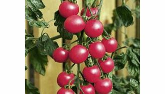 Unbranded Tomato Seeds - Pink Baby Plum F1