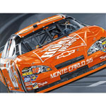 Unbranded Tony Stewart Giclee