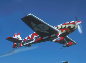 Unbranded Top gun experience in an Extra 300