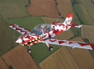 Unbranded Top gun flying in a Bulldog