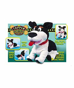 Topper the Trick Terrier