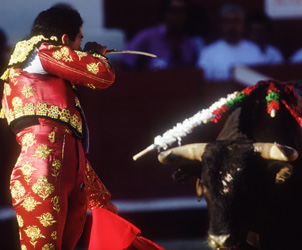 Unbranded Toros Sevilla / Morante de la Puebla, `l Cid` Sebastiandaacute;n Castella