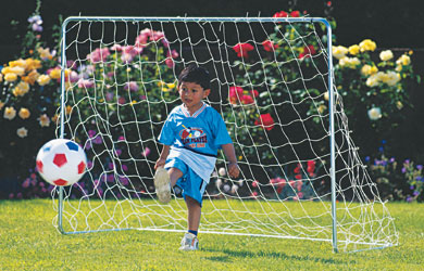 Unbranded TP209 Goal