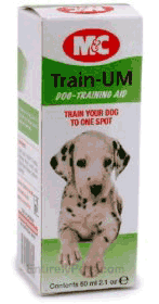 Train your dog to one urinate in one spot in order to protect carpets and furniture.