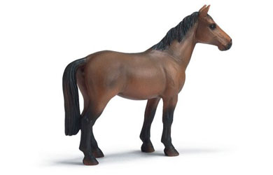 Unbranded Trakehner Mare