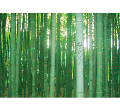 Unbranded Tranquility Personalised Calendar