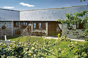 Unbranded Tredinnick Spinney