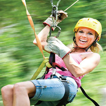 Unbranded Tree Top Ziplines and Eco Walk - Adult