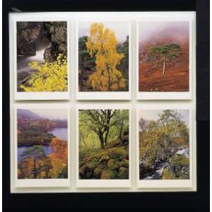 Unbranded Trees For Life cards