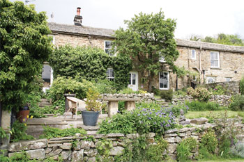 Unbranded Trellis Cottage