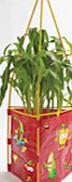 Unbranded Tri-Gro Kits Planter   FREE Seed x 3