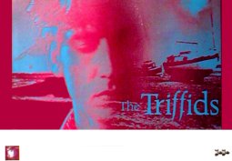 Unbranded TRIFFIDS Calenture Tour Music Poster