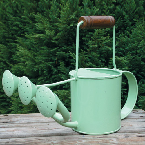 Unbranded Triple Spouted Green Watering Can