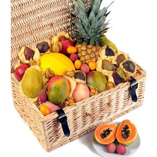 Unbranded Tropical Delight