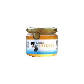 Unbranded Tropical Forest Borage Honey - 340g