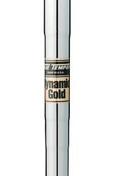 Unbranded True Temper Wood Shaft Dynamic Gold .350 Tip