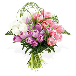 Unbranded Tulip Medley