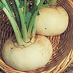 Unbranded Turnip Model White Seeds