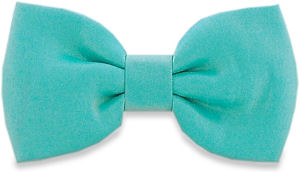 Unbranded Turquoise Shimmer Bow Tie