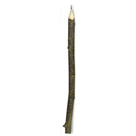 Unbranded Twig Pens and Pencils - Twig Pencil