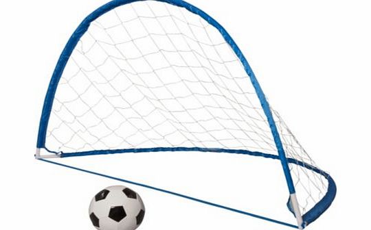 Unbranded Twin Flexi Goal and Ball