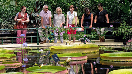 Unbranded Two Adult Tickets for Kew Gardens, Richmond