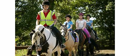 Unbranded Two Hour Western Riding Experience
