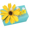 Unbranded txtChoc Gift (Huge) in ``Summer Sky`` Gift Wrap