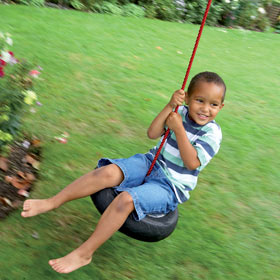 Unbranded Tyre Swing