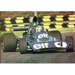 Patrick Depailler helped Tyrrell to third in the constructors championship in 1974 scoring 14