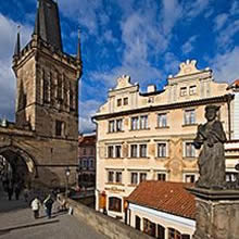 Unbranded U Tri Pstrosu