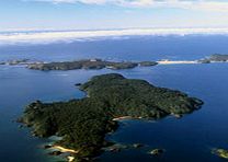 This half day walking tour on the wildlife sanctuary of Ulva Island gives you the chance to see ancient native forest and many species of bird that are rare or endangered elsewhere in New Zealand.