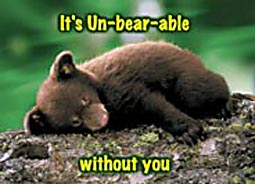 Un-Bear-Able Keyring