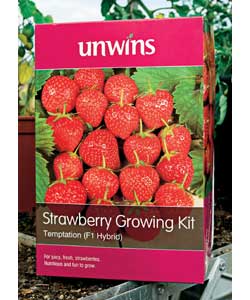 Unbranded Unwins Strawberry Growing Kit