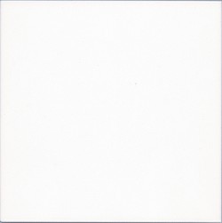 Unbranded VA Basics Plain White 15x15 Wall Tile