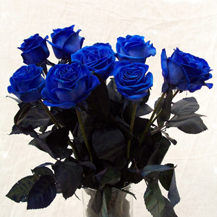 Unbranded Valentine True Blue Rose Bouquet