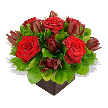 Unbranded Valentines - Red Rose Cube - flowers