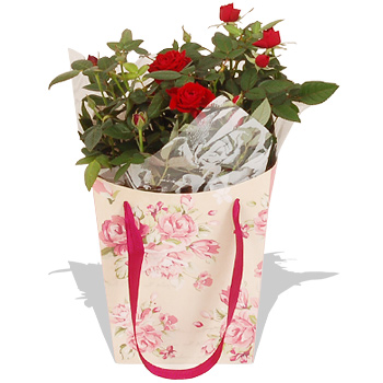 Unbranded Valentines Gift Bag - flowers