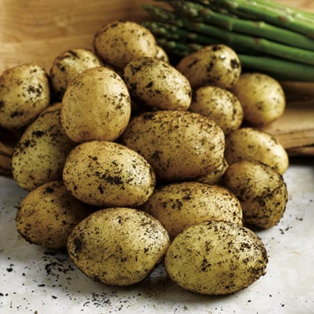 Unbranded Vales Emerald Potatoes - 3kg 3kg