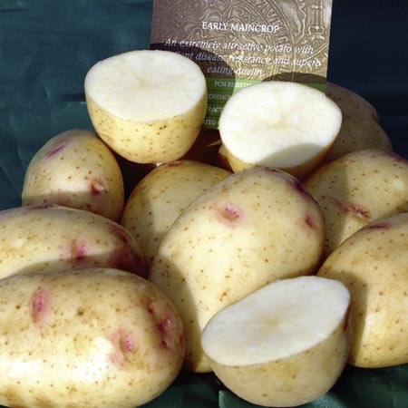 Unbranded Vales Sovereign Potatoes - 3kg 3kg