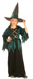 Unbranded Value Costume : Green Gothic Witch Small 3-5 yrs